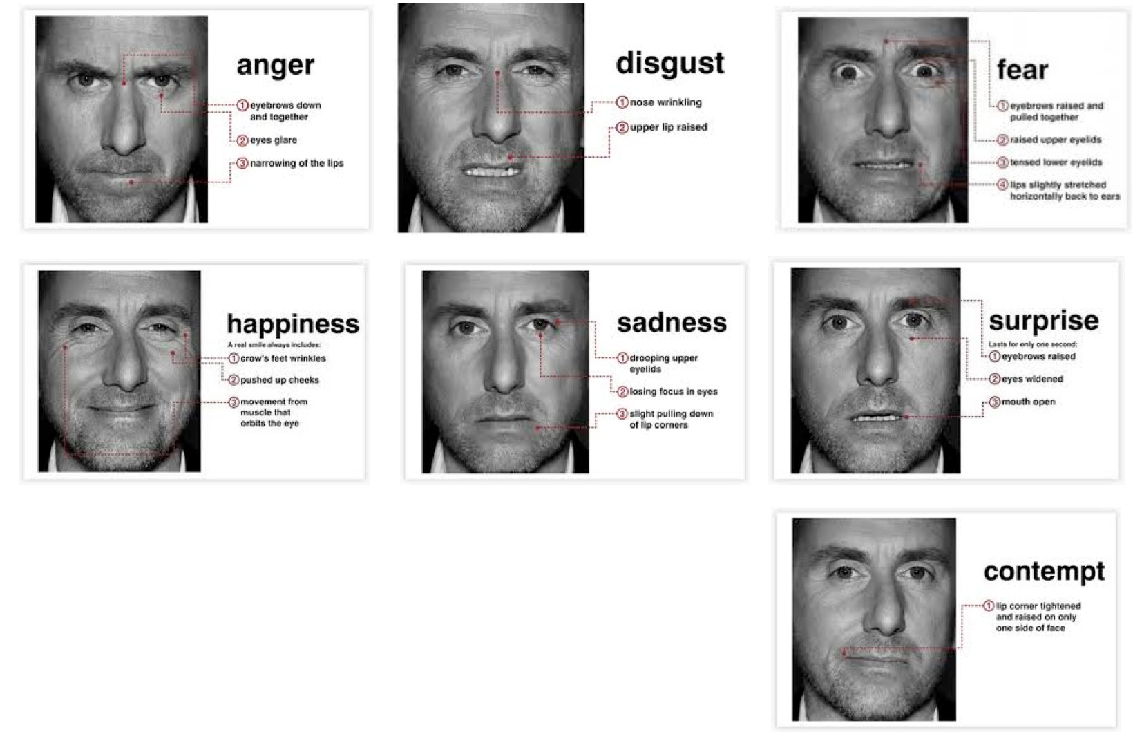 7 universal emotions